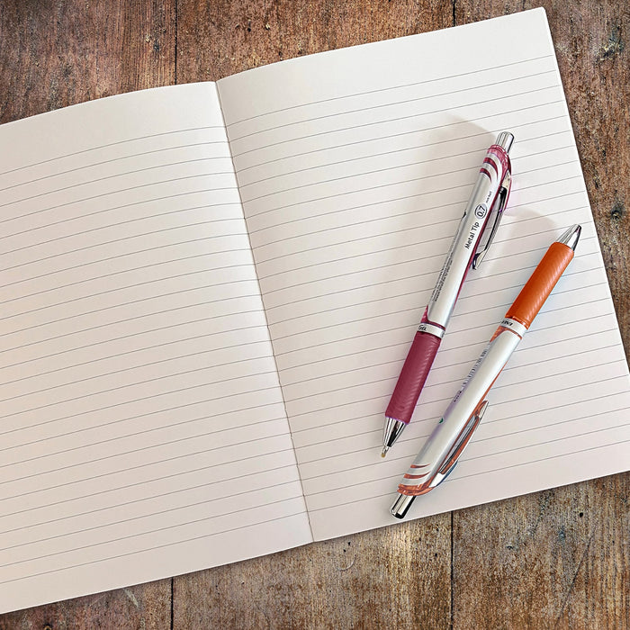 EnerGel RTX gel pens arranged next to two A6 Apica Nippon notebooks
