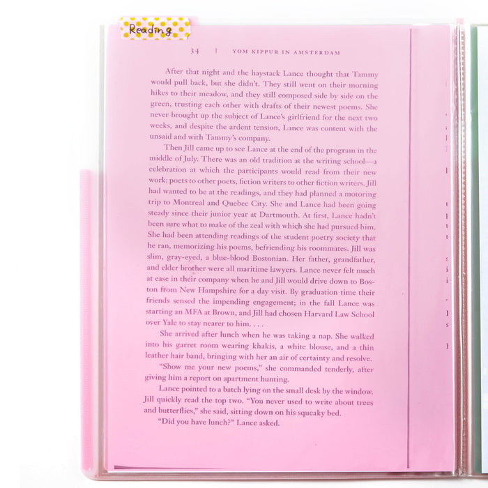 PLUS Folder Index Sheet in pink