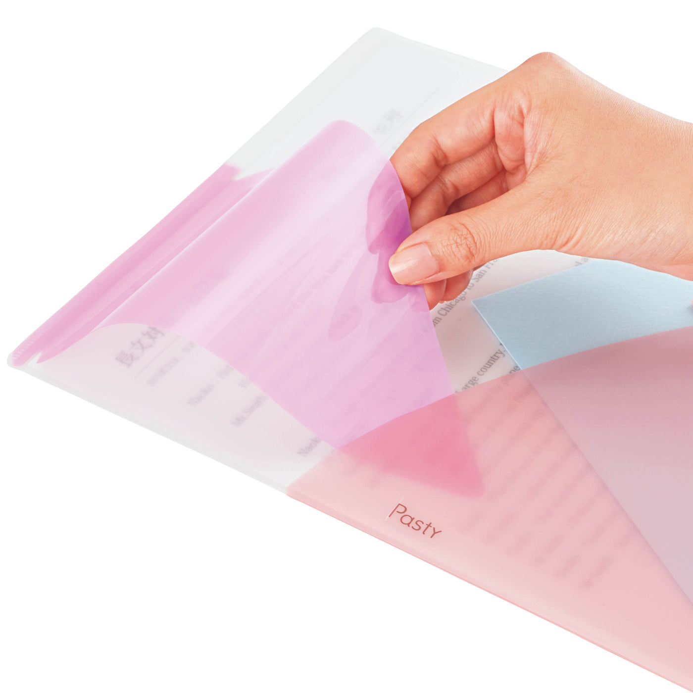 PLUS Clear Pocket File — Guard Your ID